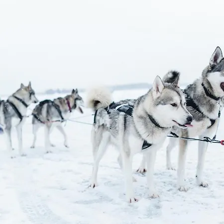 Lomahuoneisto Kalajoen Hiekat B 4 * Kalajoki